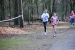 Venray090125020025_small.jpg (3698 Byte)