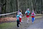 Venray090125020033_small.jpg (3698 Byte)