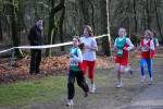 Venray090125020034_small.jpg (3946 Byte)