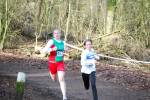 Venray090125020113_small.jpg (3698 Byte)