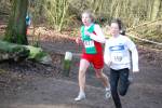 Venray090125020115_small.jpg (3857 Byte)