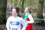 Venray090125020116_small.jpg (3932 Byte)