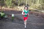 Venray090125020118_small.jpg (3946 Byte)