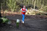 Venray090125020120_small.jpg (3932 Byte)