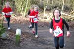 Venray090125020107_small.jpg (3857 Byte)