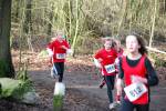 Venray090125020128_small.jpg (3932 Byte)