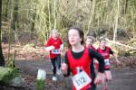 Venray090125020129_small.jpg (3698 Byte)