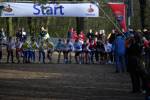 Venray090125020155_small.jpg (3857 Byte)