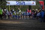 Venray090125020156_small.jpg (3932 Byte)