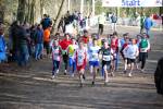 Venray090125020165_small.jpg (3698 Byte)