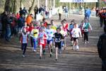 Venray090125020166_small.jpg (3946 Byte)