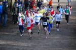 Venray090125020169_small.jpg (3698 Byte)