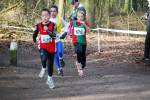 Venray090125020231_small.jpg (3857 Byte)