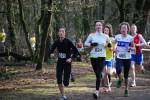 Venray090125020273_small.jpg (3698 Byte)