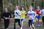 Venray090125020276_small.jpg (3932 Byte)