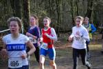 Venray090125020278_small.jpg (3946 Byte)