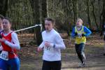 Venray090125020279_small.jpg (3857 Byte)