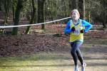 Venray090125020280_small.jpg (3932 Byte)