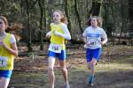 Venray090125020286_small.jpg (3946 Byte)