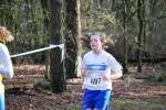 Venray090125020287_small.jpg (3857 Byte)