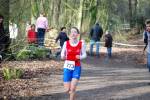 Venray090125020319_small.jpg (3857 Byte)