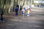 Venray090125030001_small.jpg (3698 Byte)