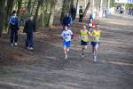 Venray090125030006_small.jpg (3946 Byte)