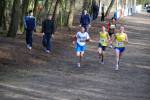 Venray090125030007_small.jpg (3857 Byte)