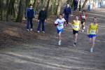 Venray090125030008_small.jpg (3932 Byte)