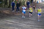 Venray090125030009_small.jpg (3698 Byte)