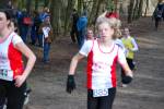 Venray090125030138_small.jpg (3946 Byte)