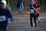 Venray090125030198_small.jpg (3946 Byte)