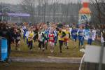 Rijen090228020006_small.jpg (3946 Byte)