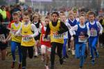 Rijen090228020012_small.jpg (3932 Byte)