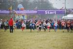 Rijen090228020161_small.jpg (3698 Byte)