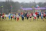 Rijen090228020165_small.jpg (3698 Byte)