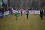 Rijen090228020180_small.jpg (3932 Byte)