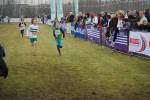 Rijen090228030134_small.jpg (3946 Byte)