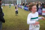 Rijen090228030138_small.jpg (3946 Byte)