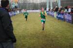 Rijen090228030144_small.jpg (3932 Byte)