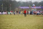 Rijen090228030444_small.jpg (3932 Byte)