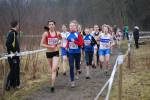 Rijen090228040016_small.jpg (3932 Byte)