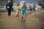 Rijen090228040080_small.jpg (3932 Byte)