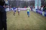 Rijen090228050124_small.jpg (3932 Byte)