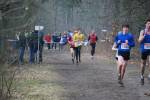 Rijen090228050376_small.jpg (3932 Byte)