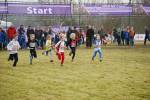 Rijen090228050424_small.jpg (3932 Byte)