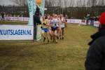 Rijen090228070430_small.jpg (3946 Byte)