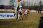 Rijen090228070431_small.jpg (3857 Byte)