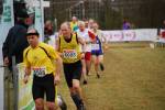 Rijen090228080014_small.jpg (3946 Byte)