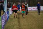 Rijen090228080058_small.jpg (3946 Byte)